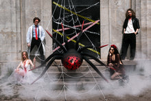 Load image into Gallery viewer, FB430 Standing Spider