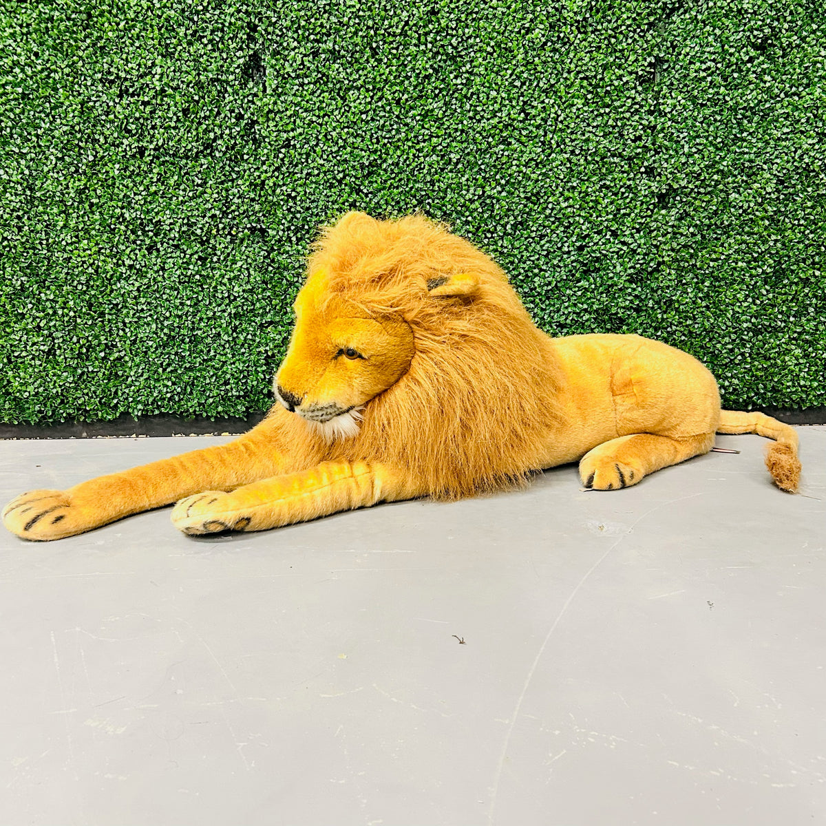 Lion Stuffed Animal Rental Westcoast Balloons