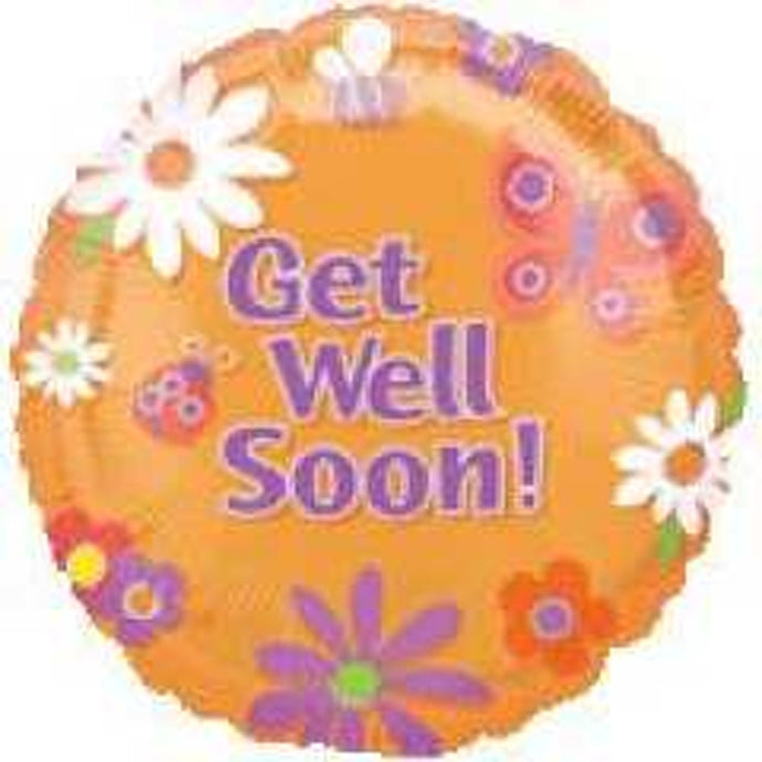 13571 Get Well Garden