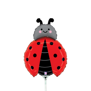 19390 Ladybug