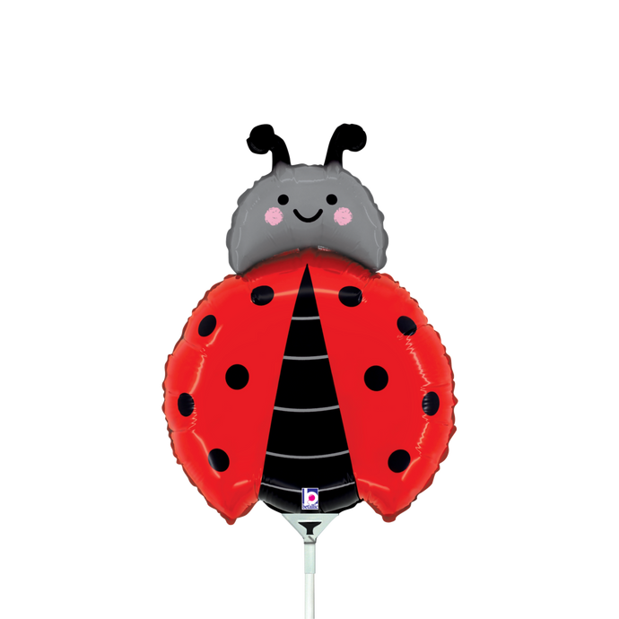 19390 Ladybug