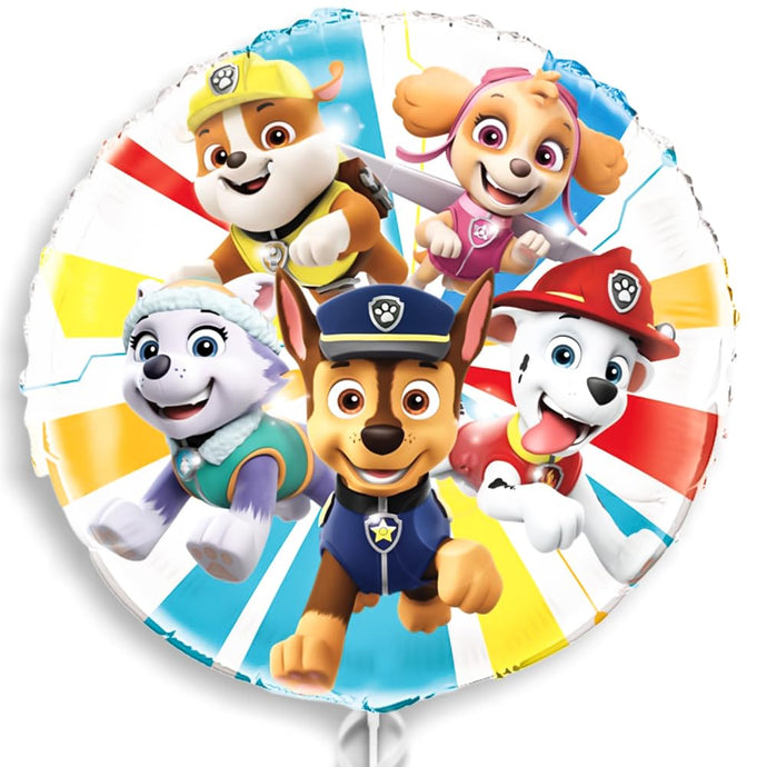 77437 Paw Patrol