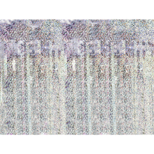 Load image into Gallery viewer, CRT-016H Party Curtain - Holographic
