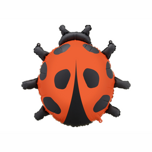 FB287 Ladybug
