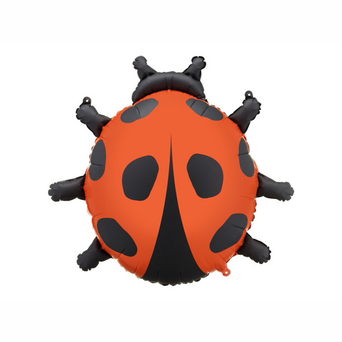 FB287 Ladybug