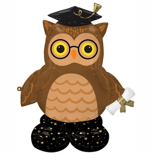 45485 Grad Wise Owl