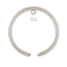 Load image into Gallery viewer, 213805 Metallic Silver 160G (50ct)
