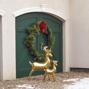 FB245 Reindeer