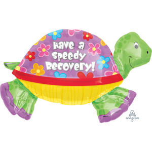 11077 Speedy Recovery Turtle