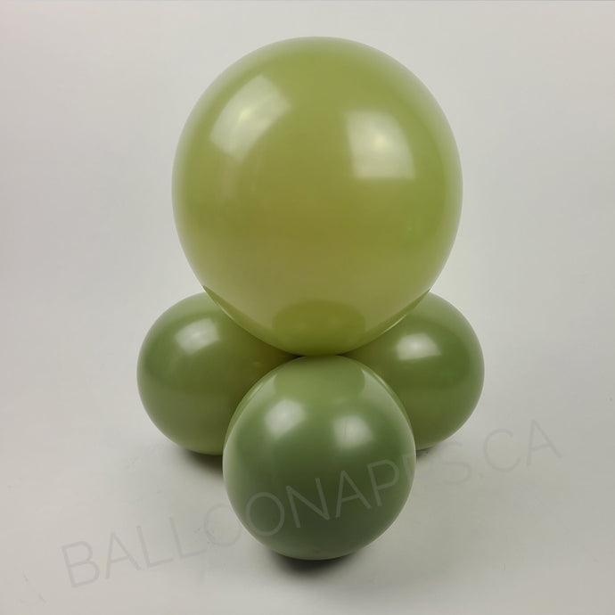 Econo Eucalyptus 11-12
