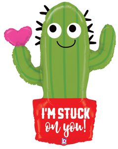 35633 Stuck On You Cactus