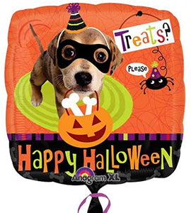 20253 Happy Halloween Dog Trick or Treat