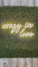 Load and play video in Gallery viewer, Crazy In Love Neon Sign Rental
