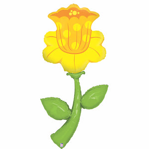 85613 Fresh Picks Daffodil