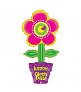 85746 Birthday Flower Pot
