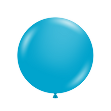 Load image into Gallery viewer, 17049 Tuftex Turquoise 17&quot; Round (50ct)
