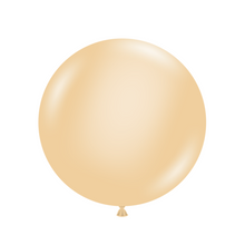 Load image into Gallery viewer, 24073 Tuftex Blush 24&quot; Round (25ct)
